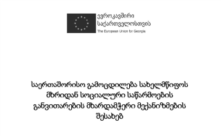 საერთაშორისო გამოცდილება სახელმწიფოს მხრიდან სოციალური საწარმოების განვითარების მხარდამჭერი მექანიზმების შესახებ (2016)